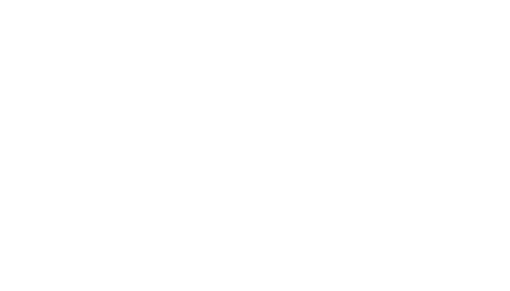Aryan_logo_feher_ures