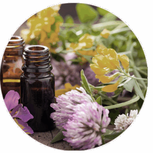 Fitoterápia szakmodul – Távoktatásos formában